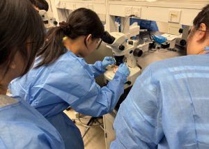 澳大健康科學學院辦校長推薦生體驗營