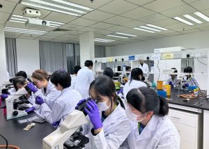UM Faculty of Health Sciences holds science outreach activity ‘The Pursuit of Research’