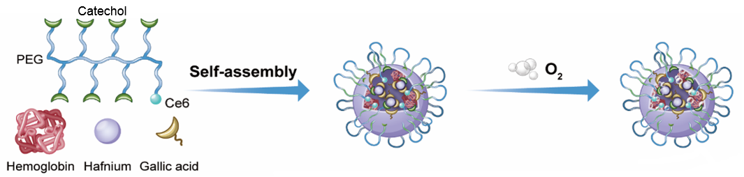 FHS develops novel nanoprocessor for cancer treatment - Faculty of ...