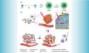 UM FHS develops new nanozyme technology for improving CAR T cell immunotherapy