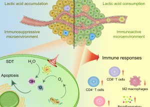 UM FHS develops new nanomedicine for efficient tumor growth and metastasis inhibition