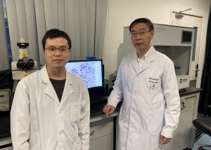 UM FHS makes breakthrough in precision medicine treatment for breast cancer