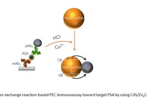 UM FHS research team develops immunosensor to enhance cancer diagnostic accuracy