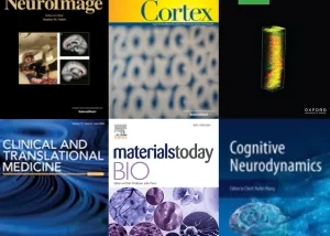 Multiple cognitive and brain science studies at UM published by international journals