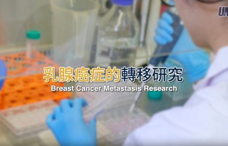 Research Projects at UM: Breast Cancer Metastasis Research