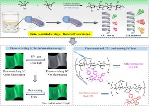 UM FHS achieves breakthrough in bacteria-assisted biosynthesis