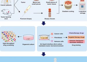UM research team establishes biobank of living tumour tissues to support personalised treatment and research
