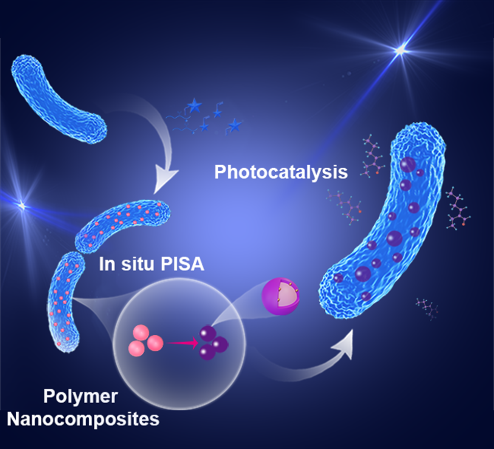 UM, SIAT jointly develop novel strategy for in situ synthesis of materials within living bacteria