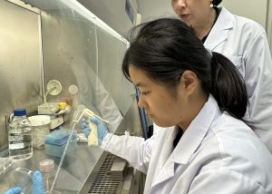 澳大健康科學學院實驗室實習計劃激發本地青少年對生物醫藥學研究的熱情