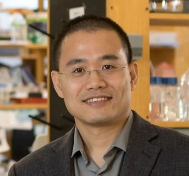 Prof Yibin KANG