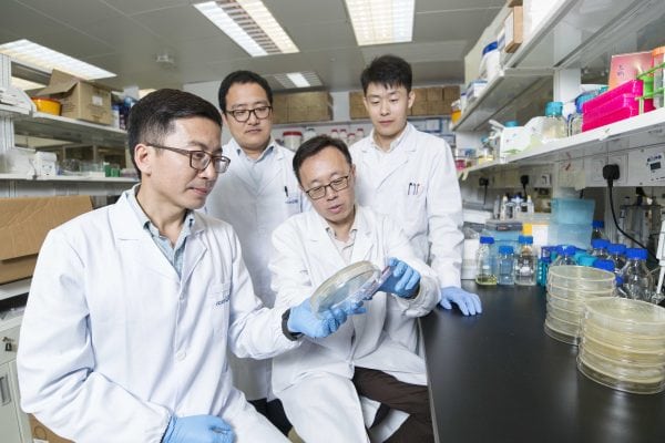 UM develops eco-friendly antibiotic against antibiotic resistant bacteria